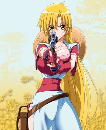 微笑的闪士的介绍