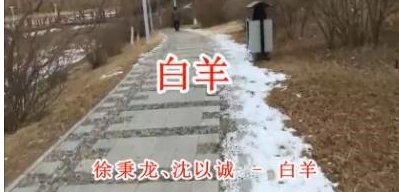 一个男生要我听白羊这首歌是什么意思