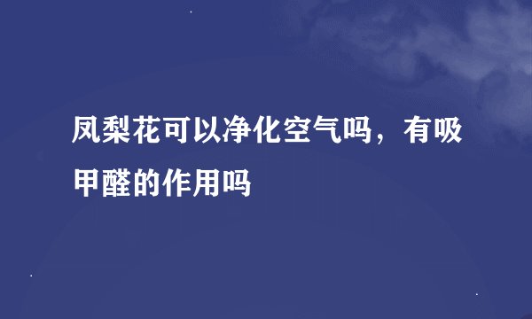 凤梨花可以净化空气吗，有吸甲醛的作用吗