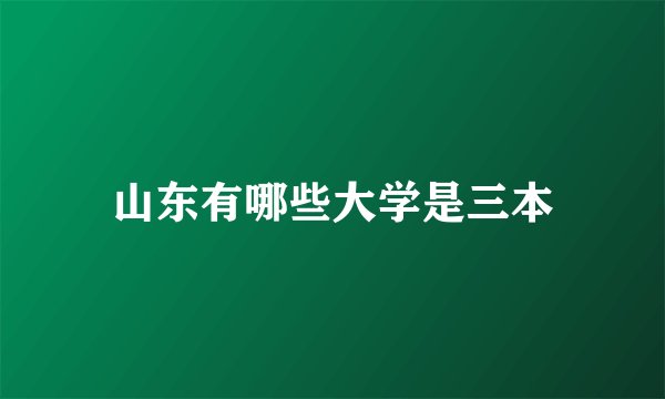 山东有哪些大学是三本