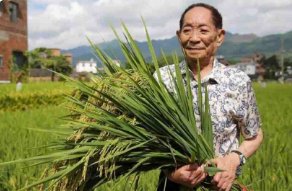 袁米用袁隆平姓名肖像卖米被罚，这个名称侵犯了其哪些权益？