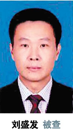 刘盛发的个人履历