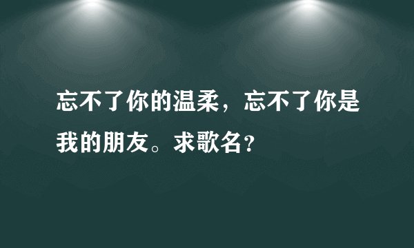 忘不了你的温柔，忘不了你是我的朋友。求歌名？