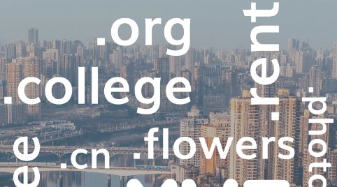 网络上的www.是什么意思