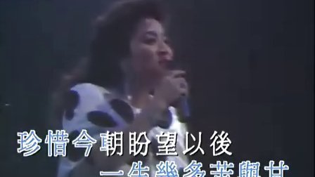 风雨同路的歌词