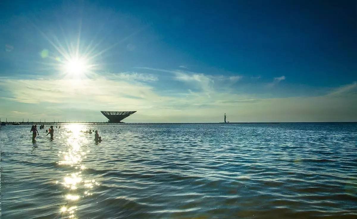 防疫通告错把鲅鱼圈写成鱿鱼圈，没文化到底有多可怕？