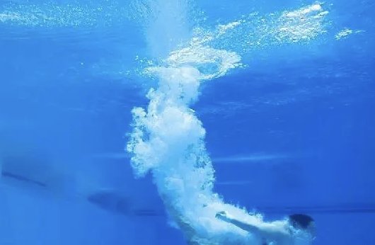 湛江跳水冠军有多少个