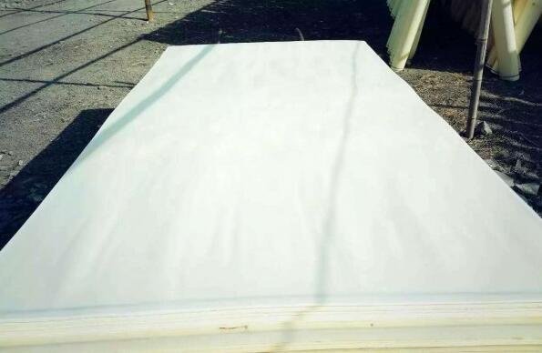 杨木木皮价格谁知道啊 进来看下！！