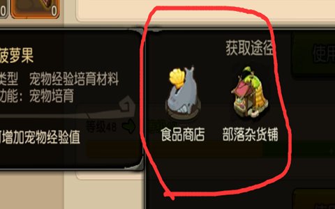 勇士的信仰宠物怎么升级