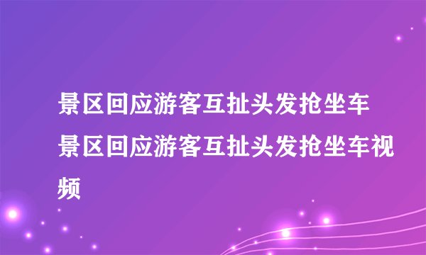 景区回应游客互扯头发抢坐车景区回应游客互扯头发抢坐车视频