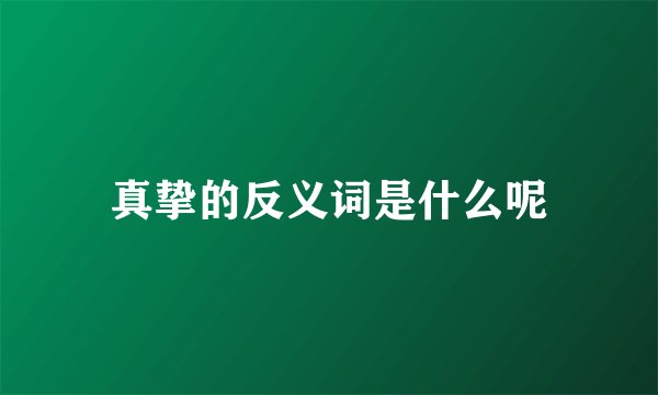 真挚的反义词是什么呢