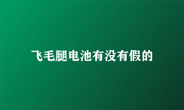 飞毛腿电池有没有假的