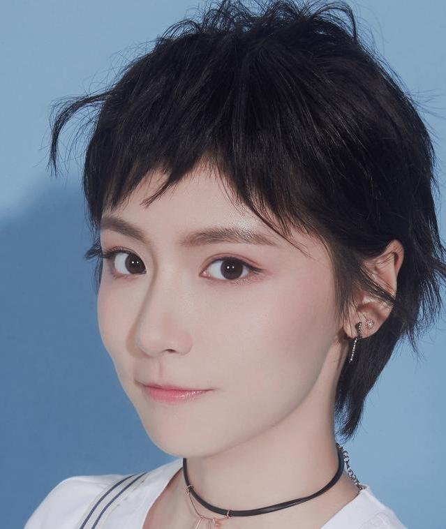 爱情公寓5诸葛大力颜值很高，一出场就成了女神，为什么诺澜却没有达到呢？