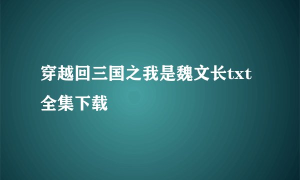 穿越回三国之我是魏文长txt全集下载