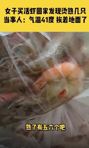 天气太热了！女子高温天买活虾到家熟透6只，当地气温还会热多久？