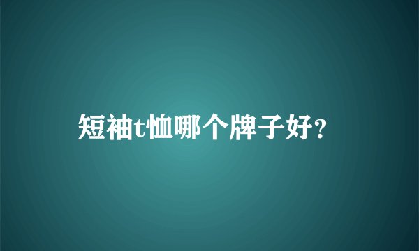 短袖t恤哪个牌子好？
