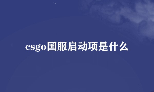 csgo国服启动项是什么