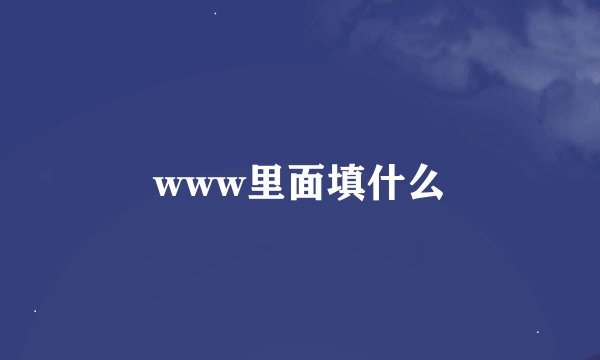 www里面填什么