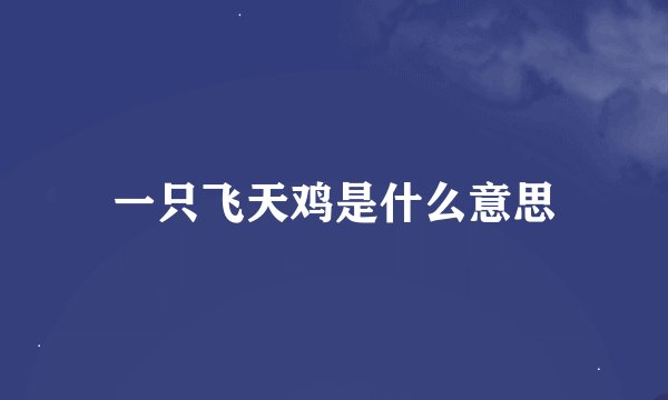 一只飞天鸡是什么意思