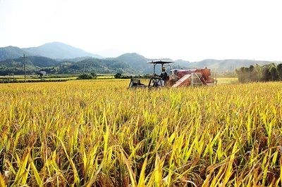 全球每年浪费食物高达16亿吨，政府是否有做出应对策略？