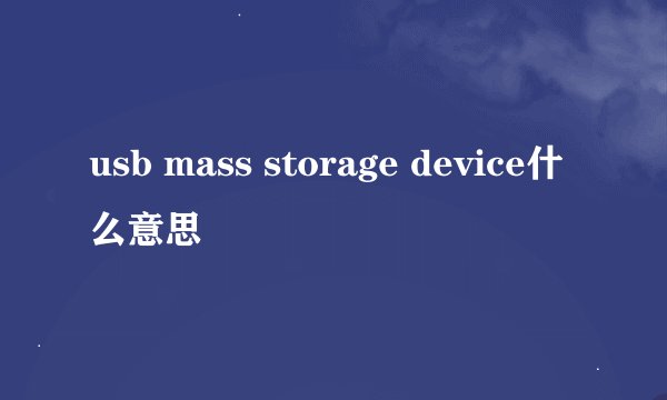 usb mass storage device什么意思