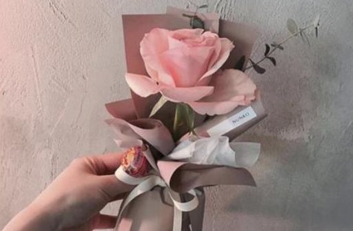 一枝花还是一支？