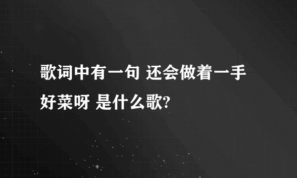 歌词中有一句 还会做着一手好菜呀 是什么歌?