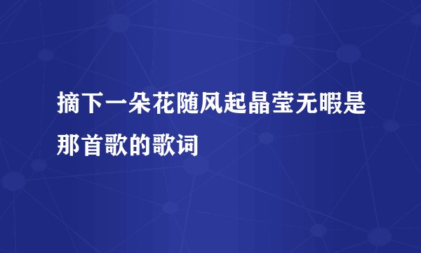 摘下一朵花随风起晶莹无暇是那首歌的歌词