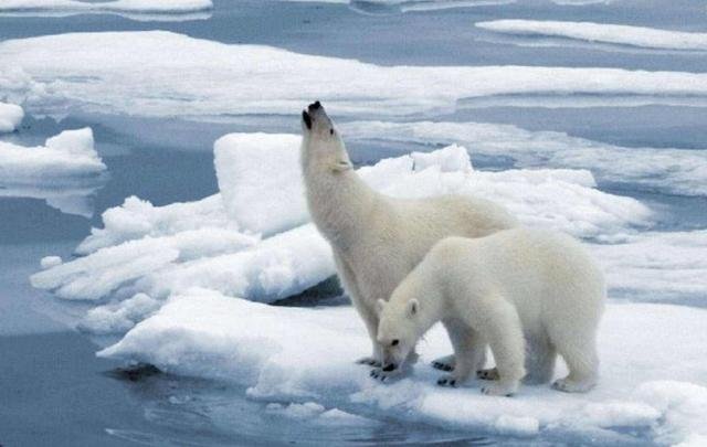 如果海平面上升60米，我国哪些城市会被淹没？日本还在吗？