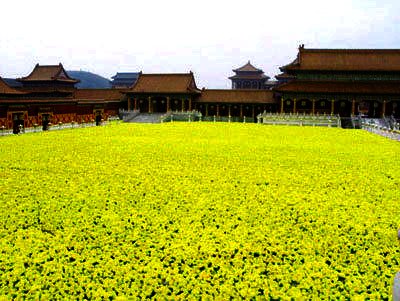 一花开后百花杀是什么意思？