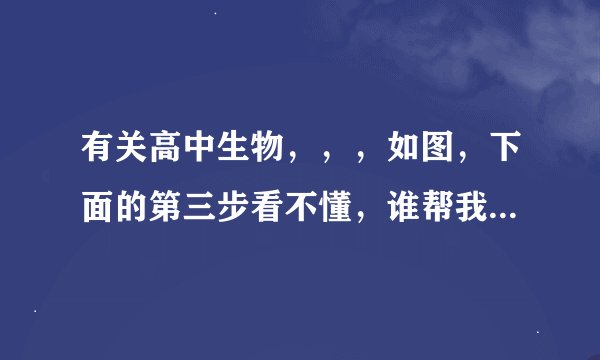 有关高中生物，，，如图，下面的第三步看不懂，谁帮我解释下，必定重赏