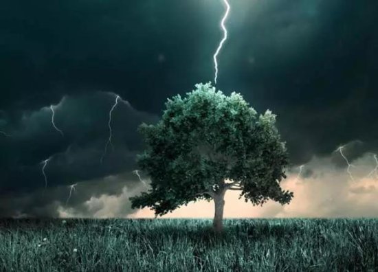 有没有什么数是雷霆劈出来的？