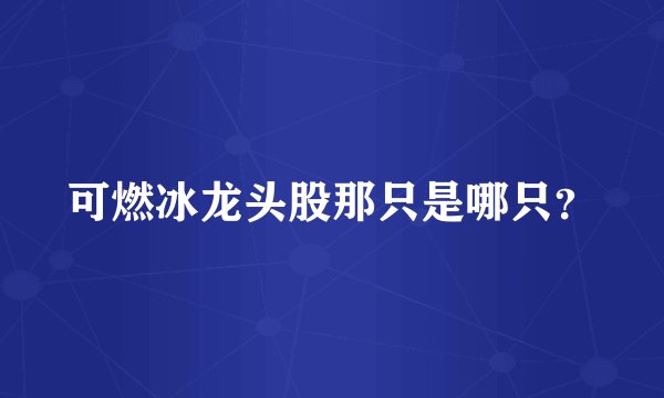 可燃冰龙头股那只是哪只？