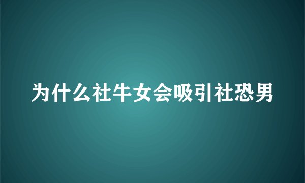 为什么社牛女会吸引社恐男