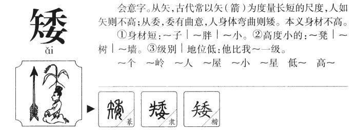 高矮的矮的拼音
