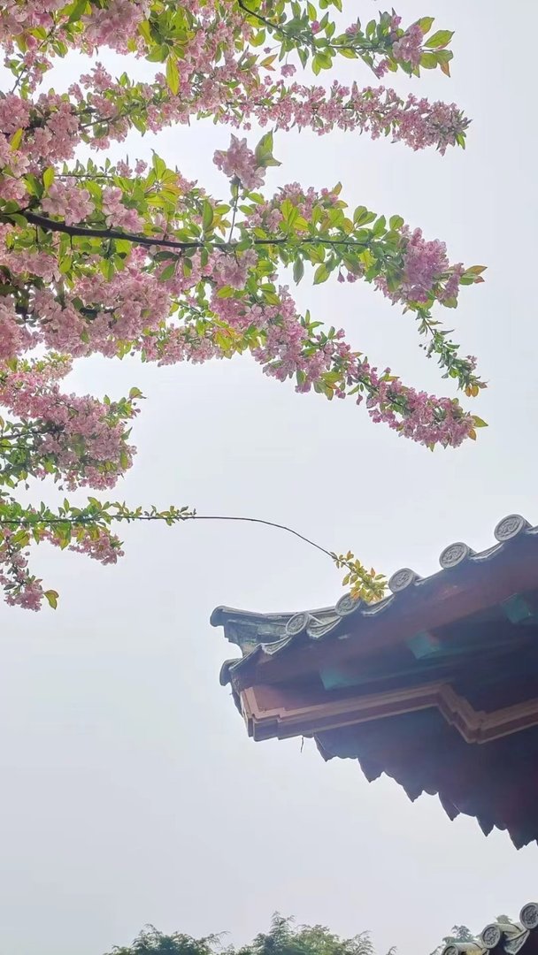 依山傍水简单造句