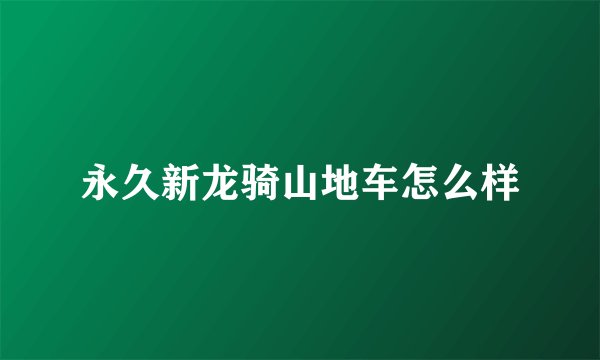 永久新龙骑山地车怎么样