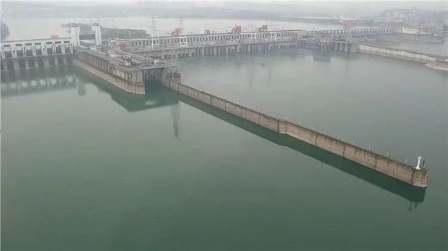 湖北无人机意外拍到怀孕江豚，正悠闲“养胎”！江豚有多稀缺？