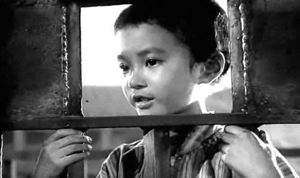 电影《烈火中永生》小萝卜头的结局是什么