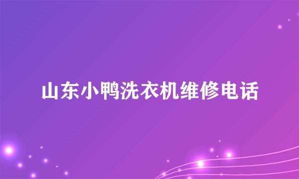 山东小鸭洗衣机维修电话