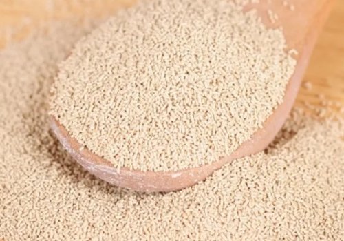 发酵粉对人身体有害吗