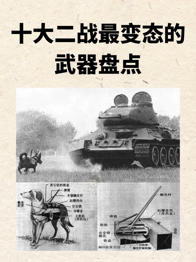 十大二战最变态的武器盘点