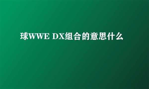 球WWE DX组合的意思什么