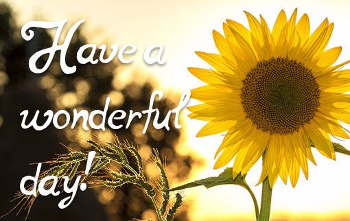 有关美好的一天的英语怎么写？