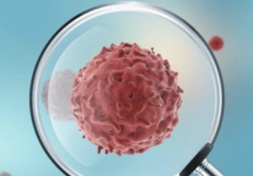 新冠疫情是什么时候开始的？