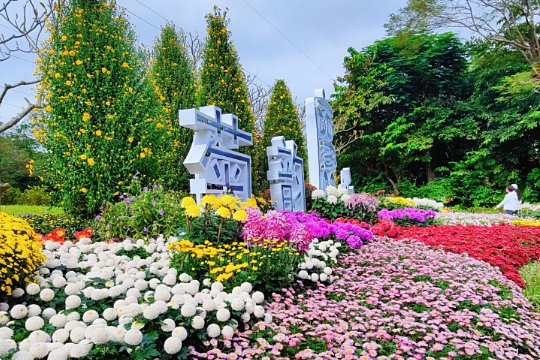 东湖公园菊花展2023时间