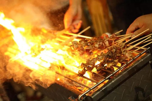 你是如何看有5人在凉山林区生火烧烤这件事的?