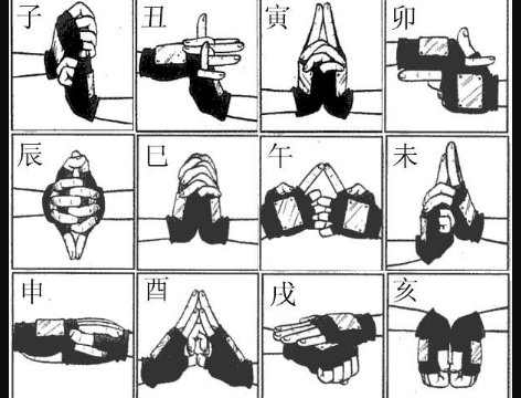 火影忍者的结印手势（要图文）？