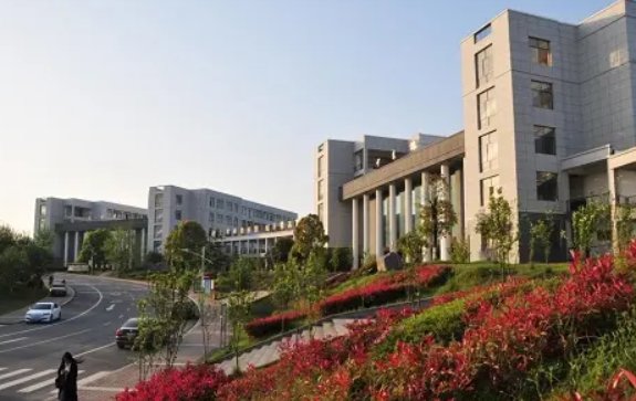 湖北哪个高职高专好？