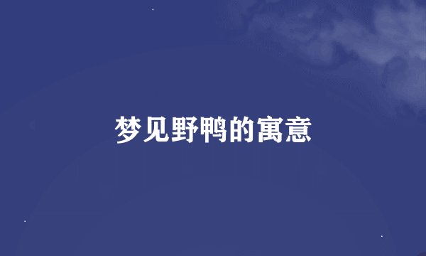 梦见野鸭的寓意